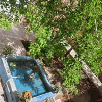 فروش یااجاره|فروش خانه و ویلا|تفت, |دیوار