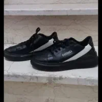 کفش اسپورت|کیف، کفش، کمربند|رباط‌کریم, رباط‌کریم|دیوار