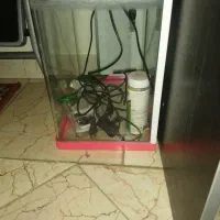 آکواریوم شرکتی ماهیران