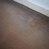 پالاز موکت