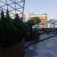 صندوقدارخانم /کانتر کار /نیاوران