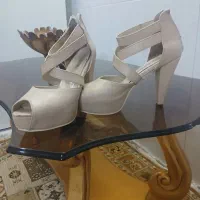 دوعدد کفش مجلسی