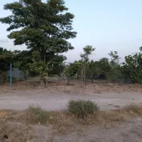 فروش-باغچه-470-متری-نظرآباد