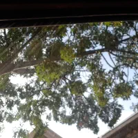 راهنمایی سرمایه گذاری