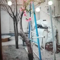 زیر زمین 180متری  به اجاره داده می شود