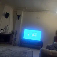 هم خانه میخواهم