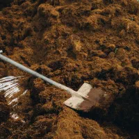 خدمات تخریب و جمع آوری نوخاله ساختمانی|خدمات پیشه و مهارت|رشت, گلسار|دیوار