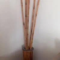 گلدان با نی بامبو