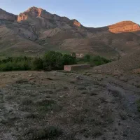 کارگر برای کار در باغ