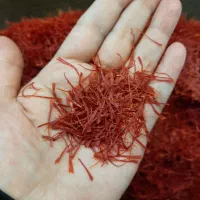 زعفران امسال ششتمد|خوردنی و آشامیدنی|سبزوار, ولیعصر (نجار آباد)|دیوار