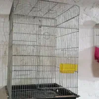 قفس کاسکویی 1033