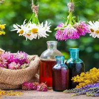 لاغری تضمینی گیاهی