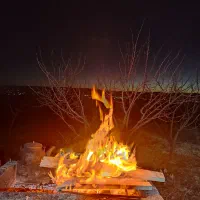 باغ جاده فرودگاه 3کیلومتری شهر|فروش دفتر صنعتی، کشاورزی، تجاری|زنجان, |دیوار