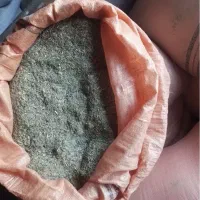 خارشتر کیسه ای مناسب و درجه یک  برای گوسفند و گاو