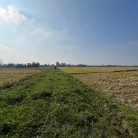 زمین کشاورزی