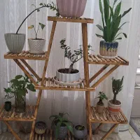 استندچوبی|کتابخانه، شلف، قفسههای دیواری|نجفآباد, ۲۲ بهمن|دیوار