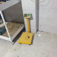 تعداد قفسه میوه فروشی با یک عدد ترازو دیحیتال|فروشگاه و مغازه|لیردف, |دیوار