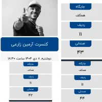 کنسرت آرمین زارعی