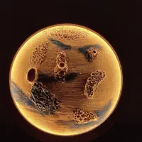 تابلو ماه ،کره زمین و انواع تابلو های برجسته بانور|تابلو، نقاشی، عکس|کرمانشاه, |دیوار