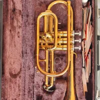 ترومپت یاماها ۱۸۸۷