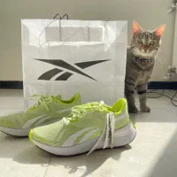 کفش Reebok|کیف، کفش، کمربند|شیراز, قدوسی شرقی|دیوار