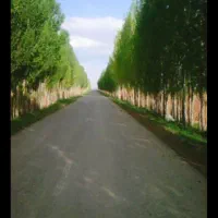 فروش۳دانگ چاه کشاورزی و خونه و مزرعه روستای تیران.