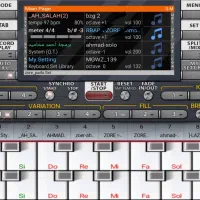 ارگ با گوشی