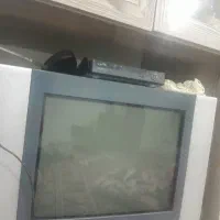 تلویزیون
