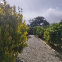 1850 متر باغ ویلا / سند تک برگ