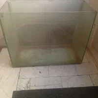 اکواریوم