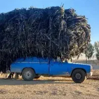 ضایعات نوار تیپ