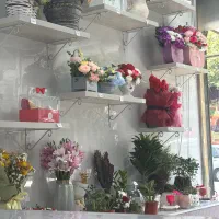 کاراموز گلفروشی