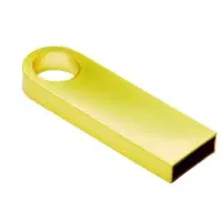 فلش گمشده