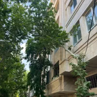 ویلایی-250-متری-عرض-10-جنوبی