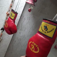 دستکش بوکس وارداتی از تایلند|تجهیزات ورزشی|پرند, فاز ۵|دیوار