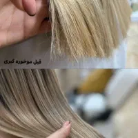 موخوره گیری آفر ویژه پکیج کامل فقط این هفته ۴۵۰