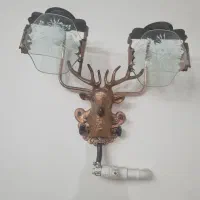 روشنایی طرح گوزن