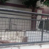 باربند مزدا توری 2000