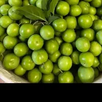 گوجه سبز تازه ملس کیلو ۱۷۰