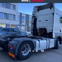 کشنده اروپایی مان لیزینگی