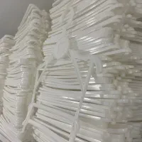 ۱۰۰۰عدد چوب لباسی