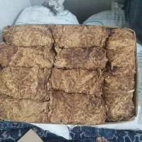 کاهوزرد