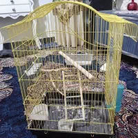 یک عدد قفس پرنده سالم وتمیز
