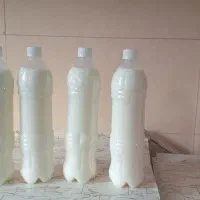 دوغ تازه