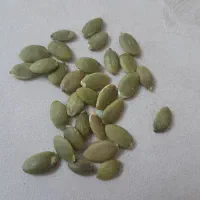مغز تخم کدو چینی