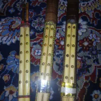 نی انبان