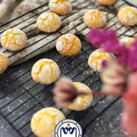 ورکشاپ یک‌روزه کوکی‌های کافی‌شاپی