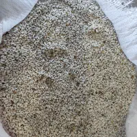 گلرنگ|عمده‌فروشی|رحمت‌آباد, |دیوار