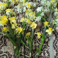 گل نرگس مصنوعی|گل مصنوعی|تالش, هشتپر|دیوار