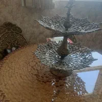میوه خوری